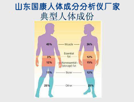 组成人体成分有哪些【山东91视频污污污】