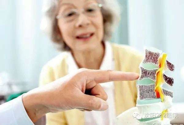 91视频下载免费仪从骨质91视频下载免费的方面预防各种疾病的发生